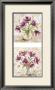 Felicity by Michael King Limited Edition Pricing Art Print
