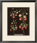 Brookshaw Strawberries by George Brookshaw Limited Edition Pricing Art Print