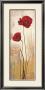 Panneau Coquelicots by Nathalie Besson Limited Edition Print