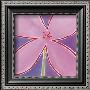 Pink Flower With Purple Background by Miriam Bedia Limited Edition Print