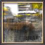 City Vi by Jean-Francois Dupuis Limited Edition Pricing Art Print