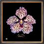 Vivid Orchid V by Ginny Joyner Limited Edition Pricing Art Print