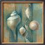 Ocean Treasures I by Elaine Vollherbst-Lane Limited Edition Pricing Art Print