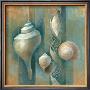 Ocean Treasures I by Elaine Vollherbst-Lane Limited Edition Print