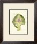 Globe Artichoke by Elissa Della-Piana Limited Edition Pricing Art Print