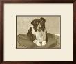 Sepia Dog Iii by Kelly Walker Limited Edition Print