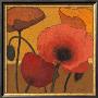 Poppy Curry I by Shirley Novak Limited Edition Print