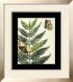 Butterflies And Leaves I by Megan Meagher Limited Edition Print