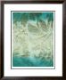 Aquatic Design Ii by Leslie Saris Limited Edition Print