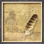 Owl Feather by Susan Friedman Limited Edition Print
