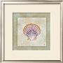 Scotch Bonnet by Eleanor Rahim Limited Edition Print