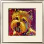 Cookie by Karen Dupre Limited Edition Pricing Art Print