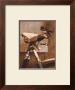 Swallow On Bicycle by Peter Munro Limited Edition Print