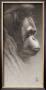 Jojo, The Orangutan by Caldwell Limited Edition Print