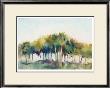 Coconut Grove by Allyson Krowitz Limited Edition Pricing Art Print