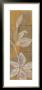 Delicate Panel Ii by Jennifer Goldberger Limited Edition Pricing Art Print