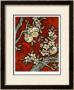 Alabaster Vines Ii by Nancy Slocum Limited Edition Pricing Art Print