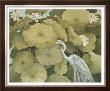 Heron With Plants by Cheryl Kessler-Romano Limited Edition Print