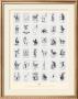 Aneries by Philippe Geraud Limited Edition Print