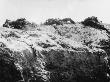 Australian Dead On The Parapet Of Lone Pine At Gallipoli During World War I by Robert Hunt Limited Edition Print