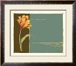 Parrot Tulip I by Jennifer Goldberger Limited Edition Pricing Art Print