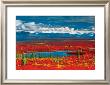 Alaska Tundra In Autumn Glory by Anthony E. Cook Limited Edition Pricing Art Print