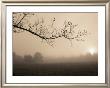 Parish Hill Sunrise by Christine Triebert Limited Edition Pricing Art Print