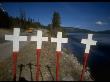 Line Of Steel Crosses At Roadside American Legion At Site Of Highway Deaths by Ralph Crane Limited Edition Print