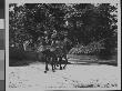 Rear View Of A Woman Riding Side Saddle On Horseback by Wallace G. Levison Limited Edition Print