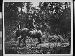 A Woman On A Horse Riding Side-Saddle In The Woods by George B. Brainerd Limited Edition Print