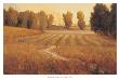 Field Near Sun Valley by Steven Lee Adams Limited Edition Pricing Art Print