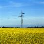 Electricity Pylon In A Field by Ove Eriksson Limited Edition Print