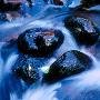 Wet Stones In A Stream by Inge Ekstrom Limited Edition Print
