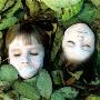 White Faces Of Two Little Girls Resting In A Bed Of Leaves by Mikael Bertmar Limited Edition Print