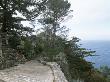 Wild Bird, Big Sur, California, 1957, Pathway To House, Architect: Nathaniel And Margaret Owings by Alan Weintraub Limited Edition Print