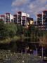 Millennium Village Phase 1A, Greenwich London, View Across Lake, Epr Architects Ltd by Charlotte Wood Limited Edition Print