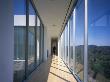 Oshry Residence, Bel Air, California, Footbridge, Architect: Spf Architects by John Edward Linden Limited Edition Print