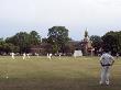 Cricket On Kew Green, Kew, Greater London by Natalie Tepper Limited Edition Print