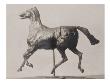 Photo D'une Sculpture En Cire De Degas:Cheval Au Trot,Les Pieds Ne Touchant Pas Le Sol (Rf2115) by Ambroise Vollard Limited Edition Pricing Art Print