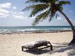 Place Of Relaxation, Tulum Ruins, Quintana Roo, Mexico by Julie Eggers Limited Edition Print