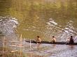 Fishermen, Luang Prabang by Eloise Patrick Limited Edition Print