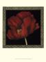 Patterned Flowers Ii by Jennifer Goldberger Limited Edition Print