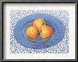 Persimmons by Sharon Medler Limited Edition Print