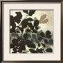 Autumn Silhouette I by Franz Heigl Limited Edition Pricing Art Print