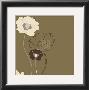 Golden Poppy I by Kate Knight Limited Edition Pricing Art Print