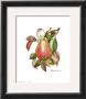 Pears by Consuelo Gamboa Limited Edition Print