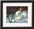 Snow Baby by Laurie Snow Hein Limited Edition Pricing Art Print