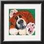 Buster by Kate Mawdsley Limited Edition Pricing Art Print