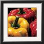 Peppers by Alma'ch Limited Edition Print