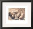 Silvery Pears by Julie Nightingale Limited Edition Print